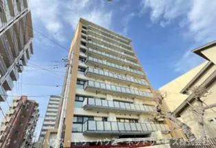 ボワ デ コガネの画像