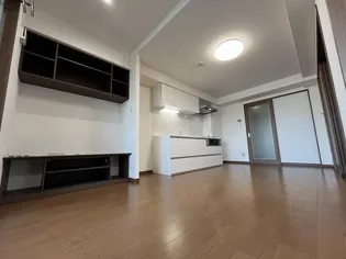 リアン Sの画像