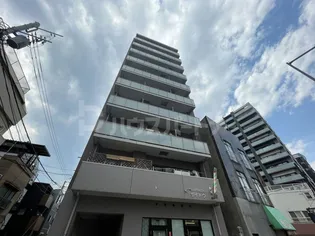 EXCELENTE SAIの画像