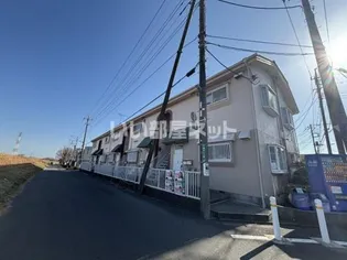 ホワイティM&Tの画像