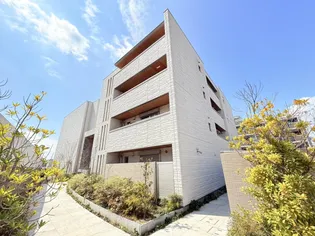 SHAMAISON FELICIAの画像