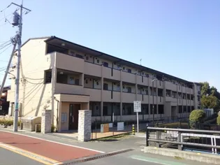 アンドミーワの画像