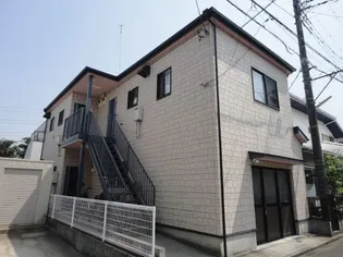 ヤングリーフ桜の画像