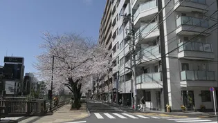 フェリーチェ巣鴨の画像