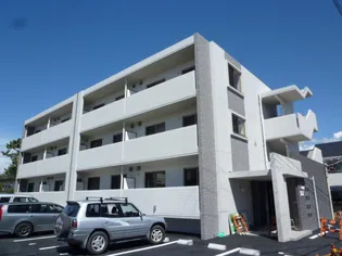 ココ シェリーナの画像