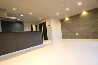 アンケスの画像