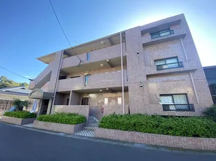 パル あじさいの画像