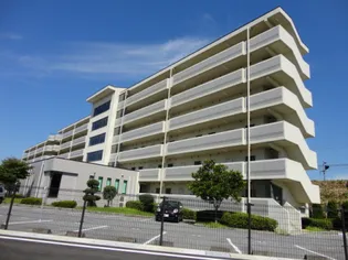 滋賀県彦根市竹ケ鼻町【マンション】の外観