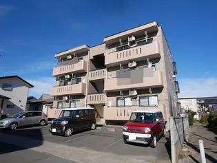 ウィル大みかの画像