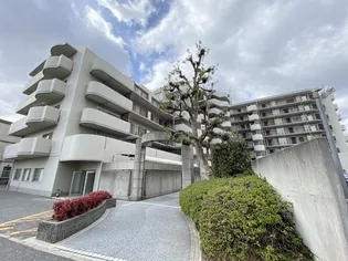 ユニハイム松原高見の里【6階】の外観