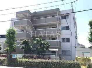 ヴィヴレ TOKUの画像