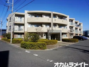 ドルチェの画像