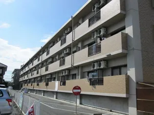 ユースハイムくまなんの画像