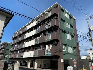 リーガIIの画像