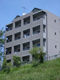 きららコートの画像