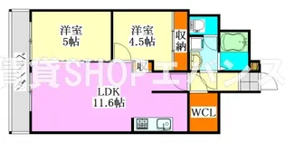 カーサ・カレラ【2階】の間取り
