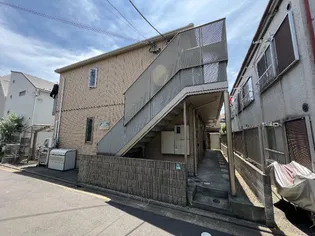 ピノ カンポの画像