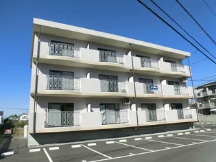 サンハイム霧島 A棟の画像