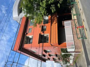 サンハイムウメの画像