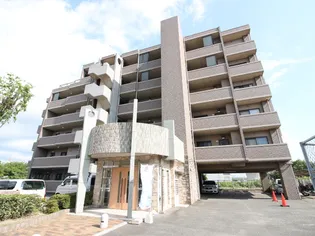 シーゲルMATSUNAGAの画像