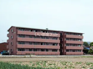 シャリルの画像