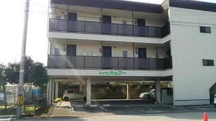 ハイツカッコーの画像