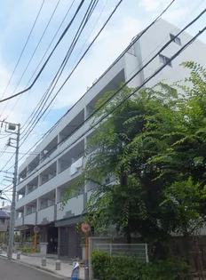 サンパレス田端壱番館の画像