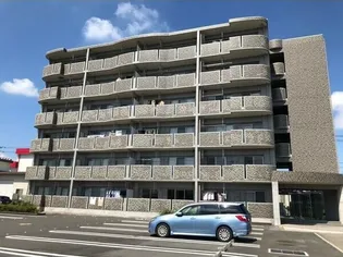 サン フォレストの画像