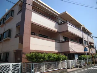 ヒルトップワレリの画像