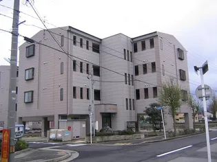 FOX FIELDIIの画像