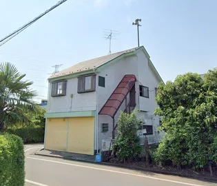 サンワカバの画像