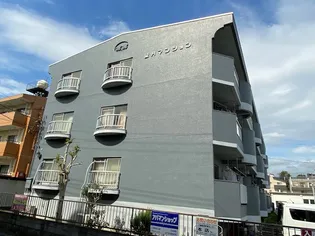 望月マンション【3階】の外観