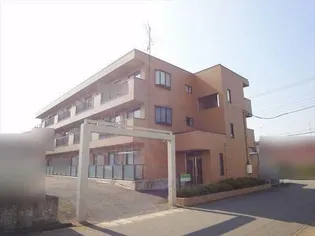 プリムローズの画像