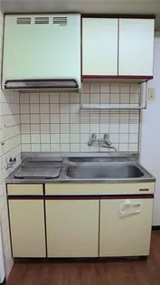 ユウネクストドムス【1階】のキッチン