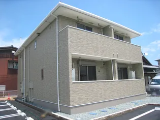 アイランド パインの画像