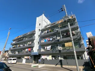 西平野ハイツ【1階】の外観