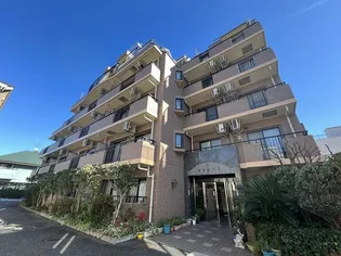 やまぼうしの画像