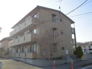 ベルレージュの画像