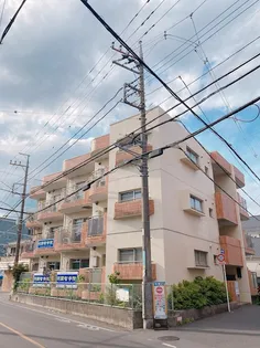 第2いづみマンション【1階】の外観