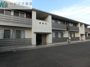 インシャラーの画像