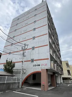 LILYーBEさくらの画像