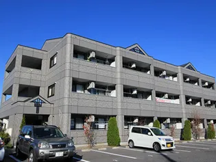 リバーフィールドの画像
