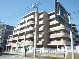 エムケイ ドリーム笹野台の画像