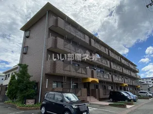 COTE DE ORANGEの画像