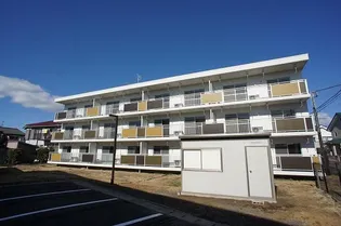 テレパレス柏てるて 南街区 3号棟の画像