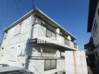 クレマチスCの画像