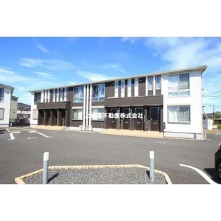 モルガンAの画像