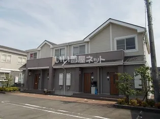 アティーズBの画像