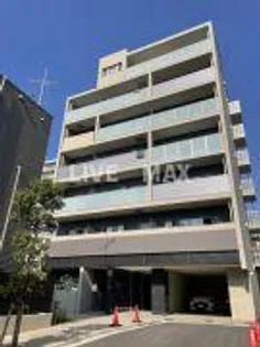 セボーンミナミスナの画像