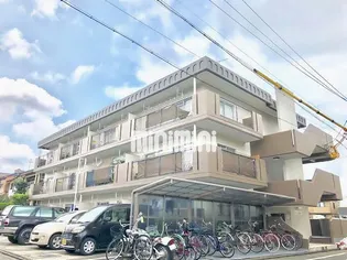 松栄ハイツ【2階】の外観